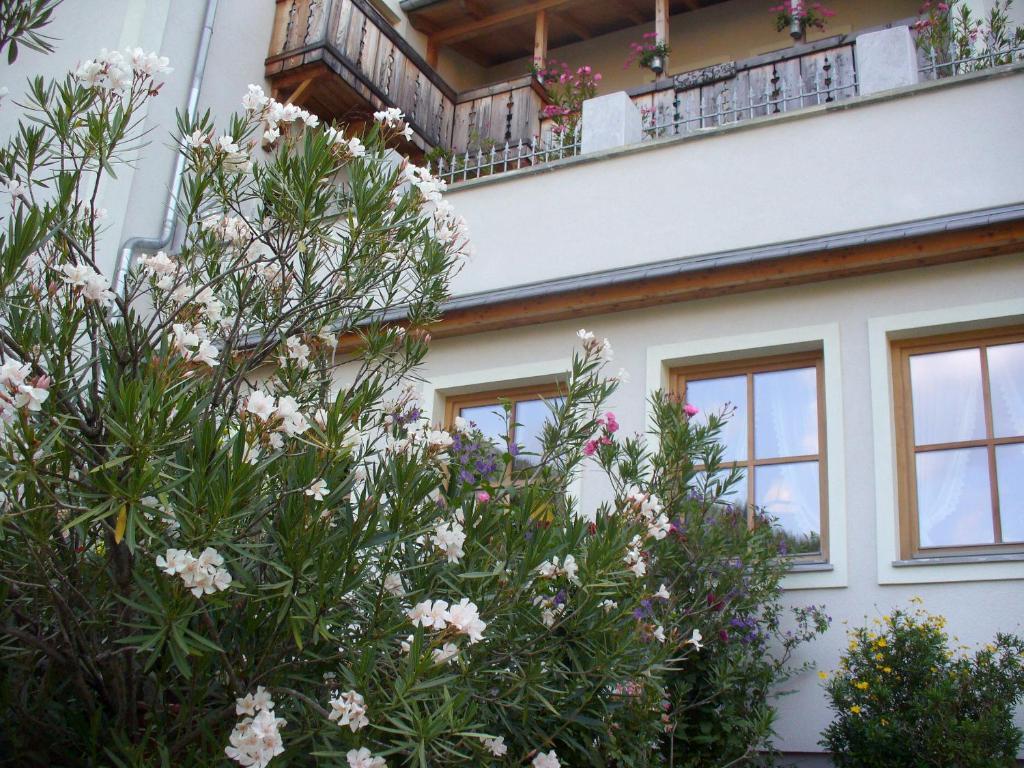 Mitschighof - Apartments Und Pension - Heidis-Welt, Mitschig 黑马戈尔 外观 照片